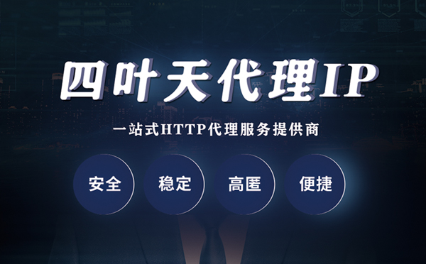 【十堰代理IP】代理ip客户端使用教程