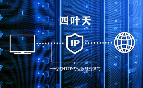 【十堰代理IP】代理IP的主要用途和使用注意事项